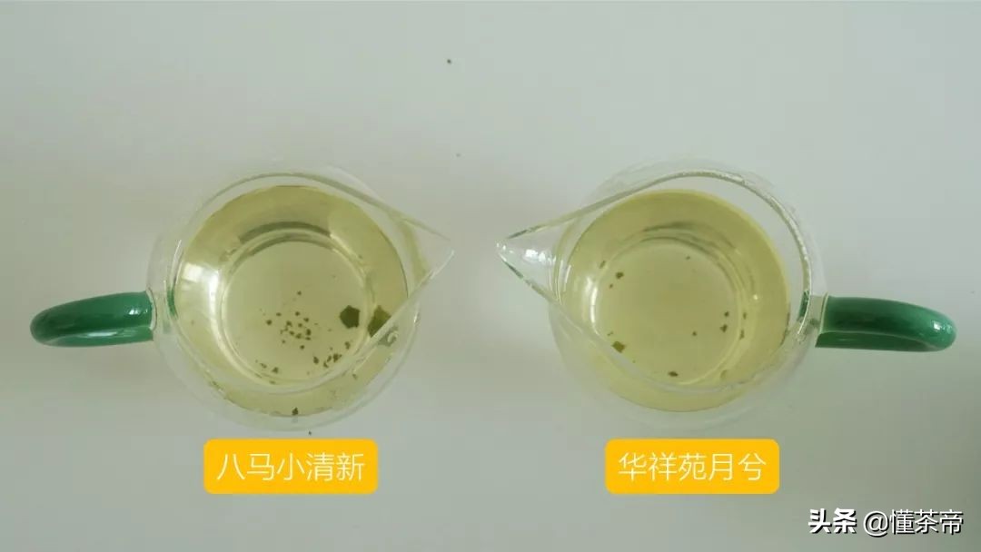 海堤铁观音与八马铁观音,八马茶业清香铁观音金罐测评