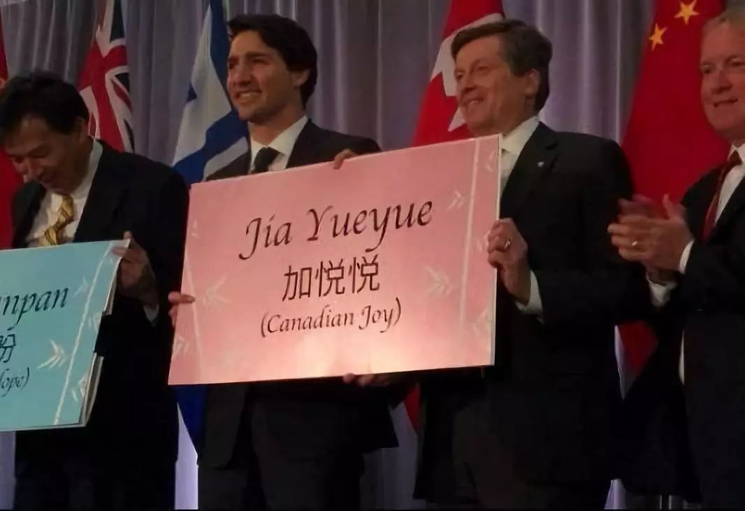 为什么全世界都喜欢大熊猫,世界各地的人们都喜爱大熊猫英语