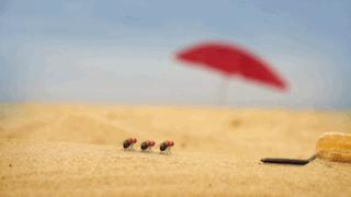 假期儿童纪录片推荐经典,青少年假期推荐纪录片