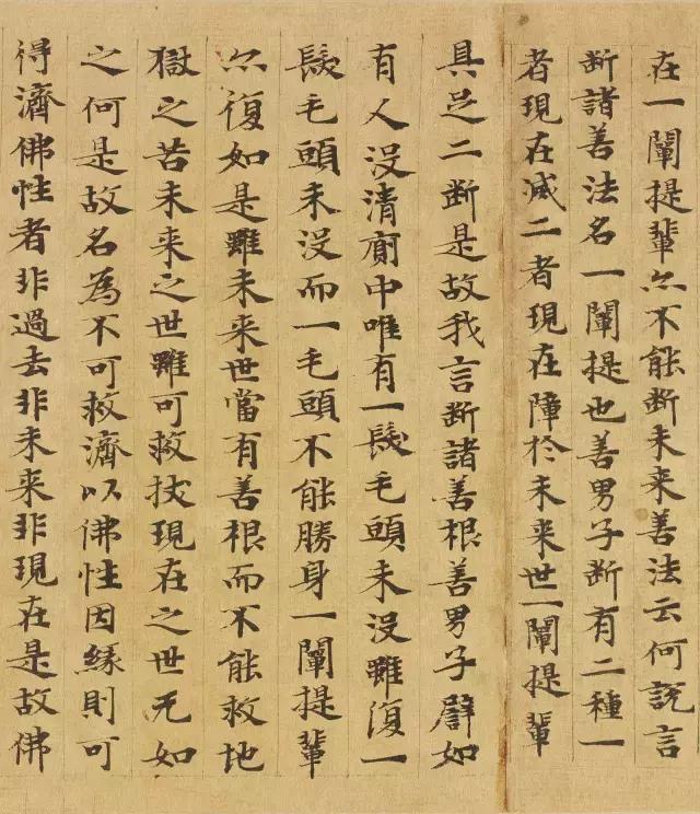 隋人的经书体放大20倍,真的是美不胜收!值得学习!