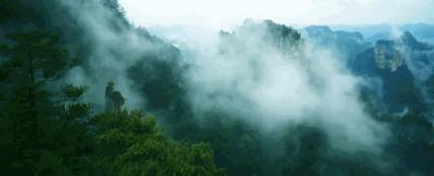 为什么好多人选择四川定居,四川人为什么都想在成都定居