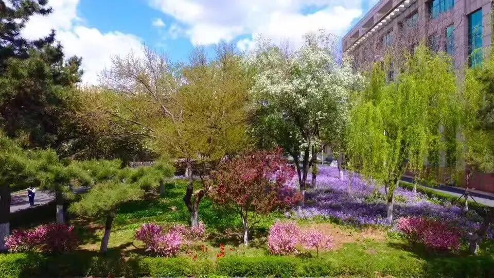 辽宁省所有的高级中学,辽宁省高级实验中学