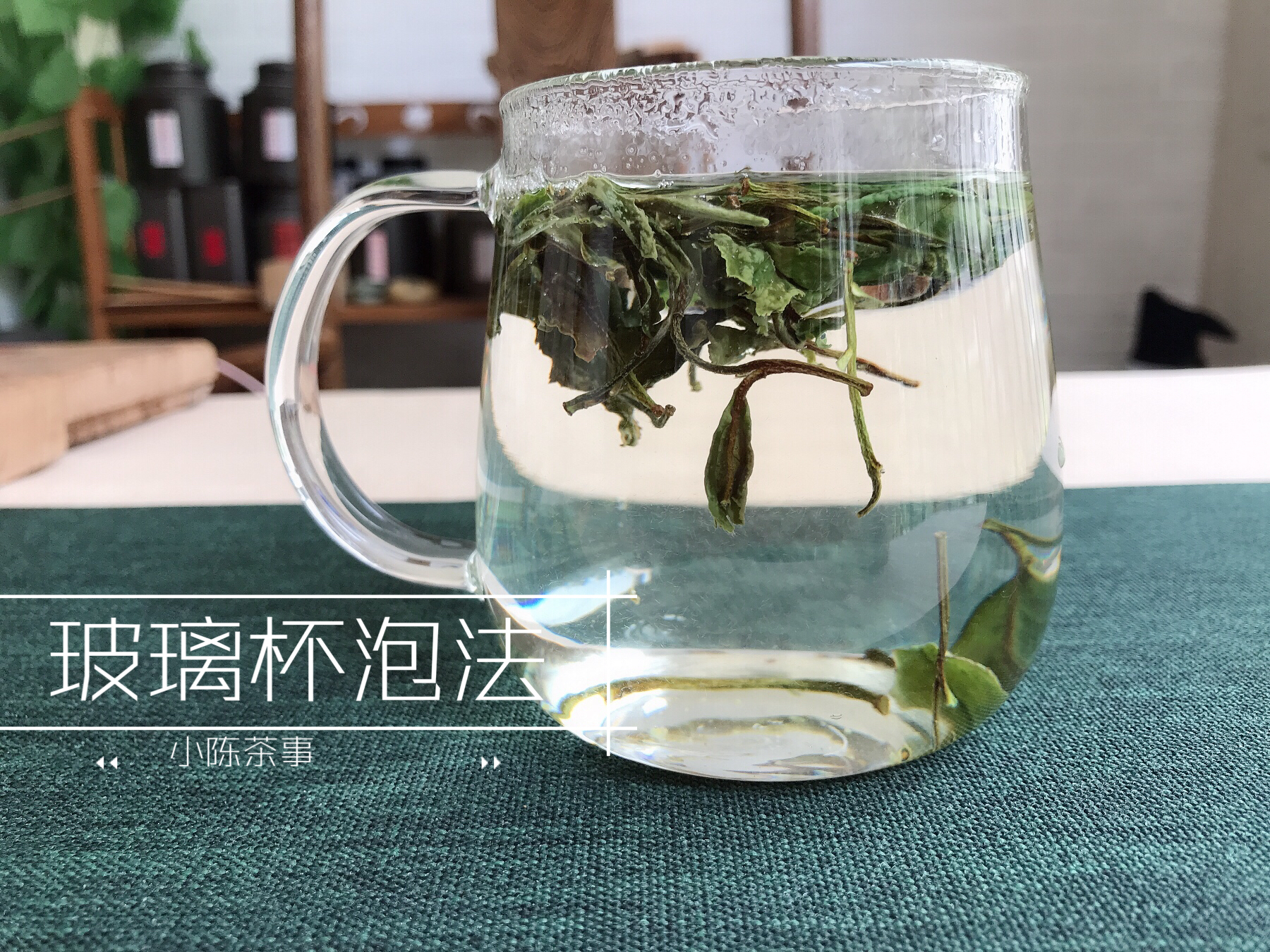 和紫砂杯差不多的杯子,盖碗和飘逸杯泡茶有区别吗