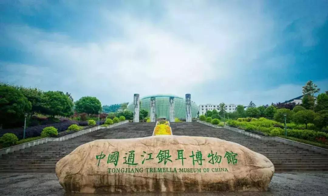 4天，在通江能做些什么？