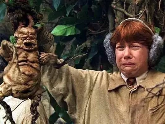 哈利波特新成就魔法史先行者,哈利波特最近一季