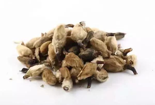 哪些花卉可以治疗鼻炎,农村常见的植物专治鼻炎