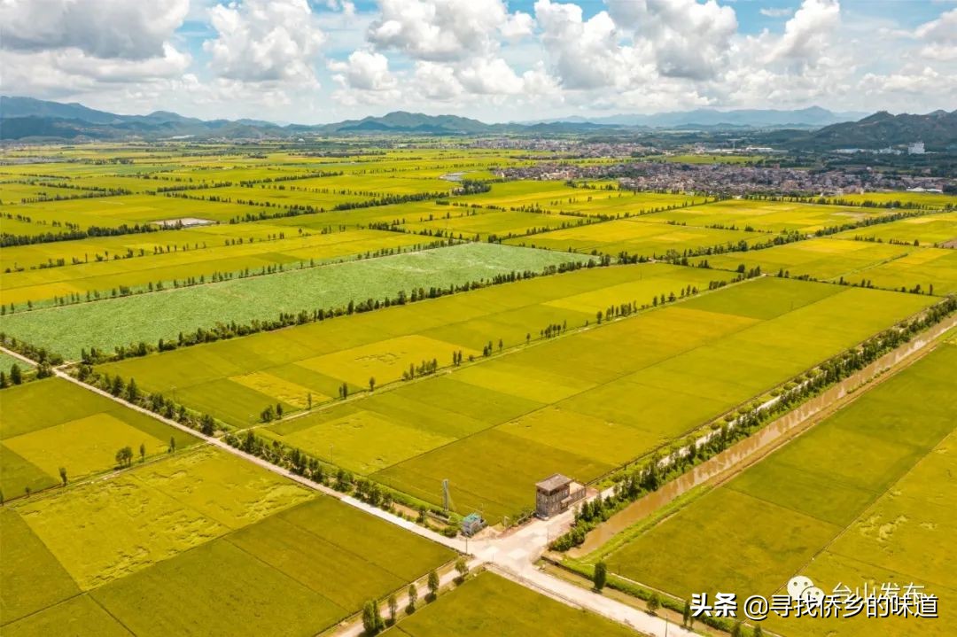 这个网红记录片,告诉你台山改革前不为人知的一面