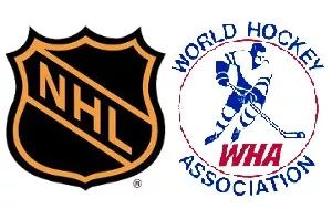 nhl一共有多少支球队,nhl历届冠军名单