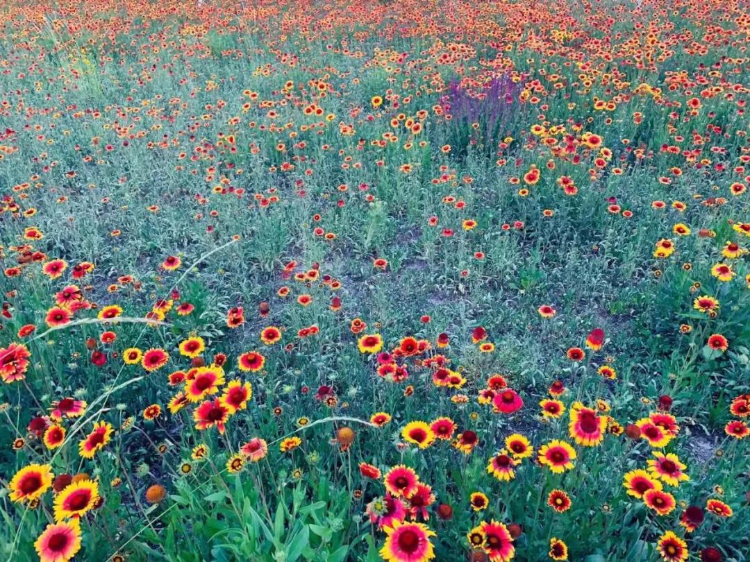 comeonbaby翻译,comeonbaby歌曲女声