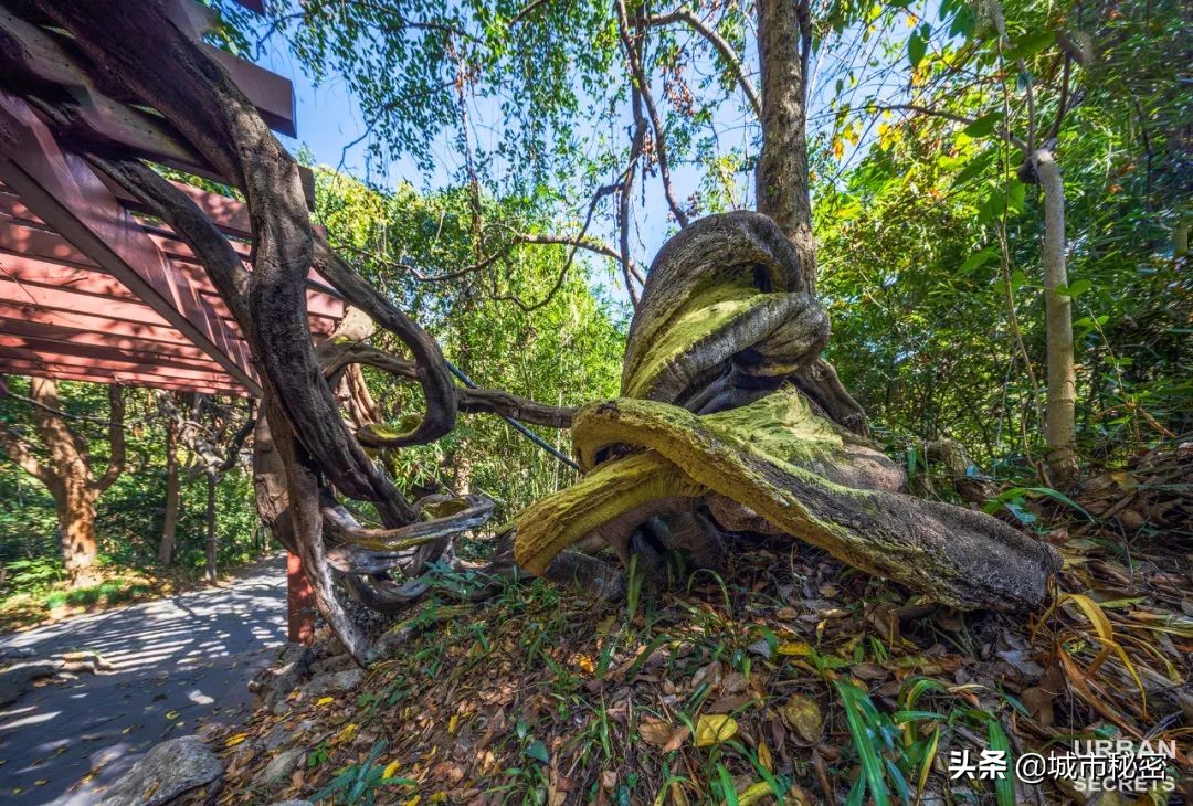 吴山和城隍山,城隍山吴山