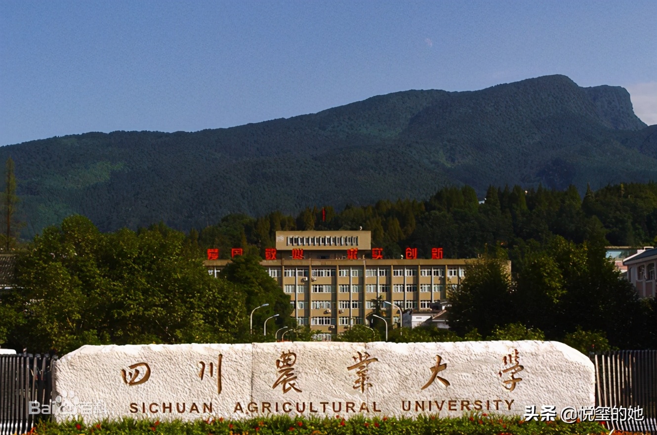 成考英语二考多少分可以申请学位,成考本科学位证是考英语二吗