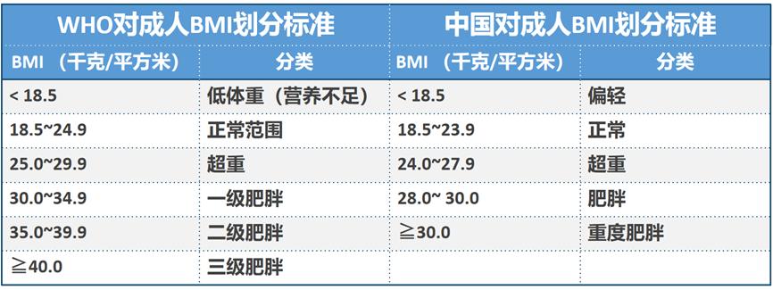 测测你是不是真的胖公式,测测试胖了之后的样子
