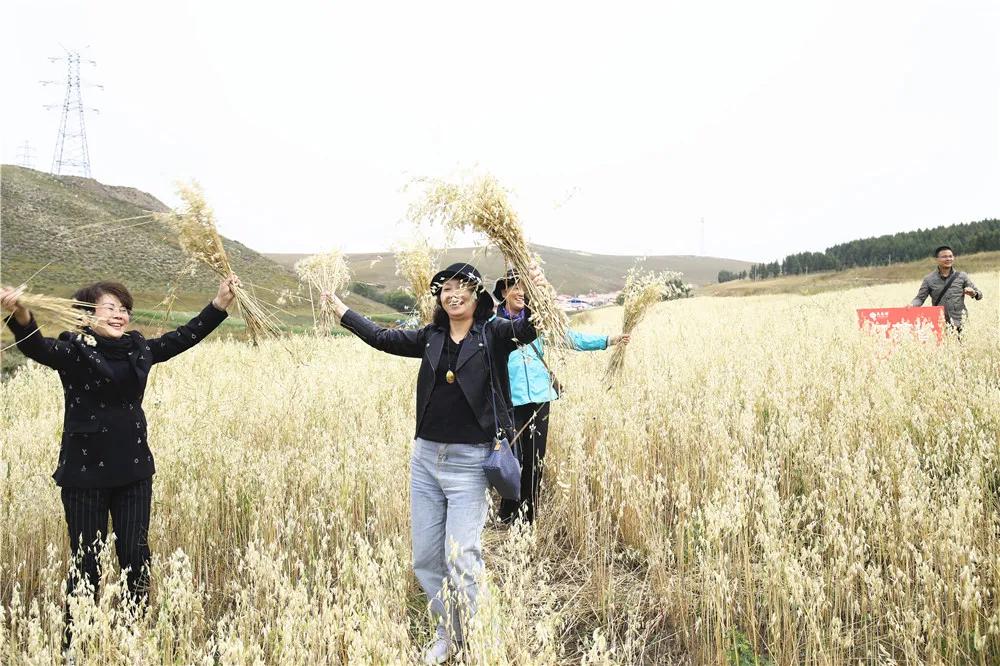 第三届中国农民丰收节汝南,益阳市第三届中国农民丰收节举行