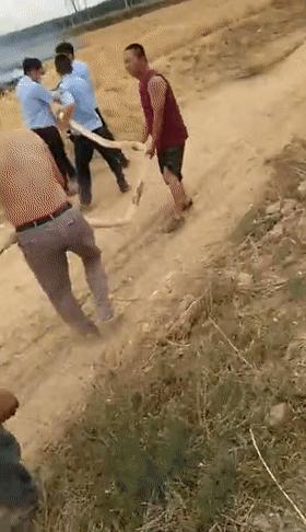 触目惊心！德州多地麦田发生火灾，收割机被烧成黑炭......