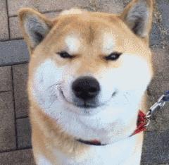 再来5招，告别Word琐碎工作！