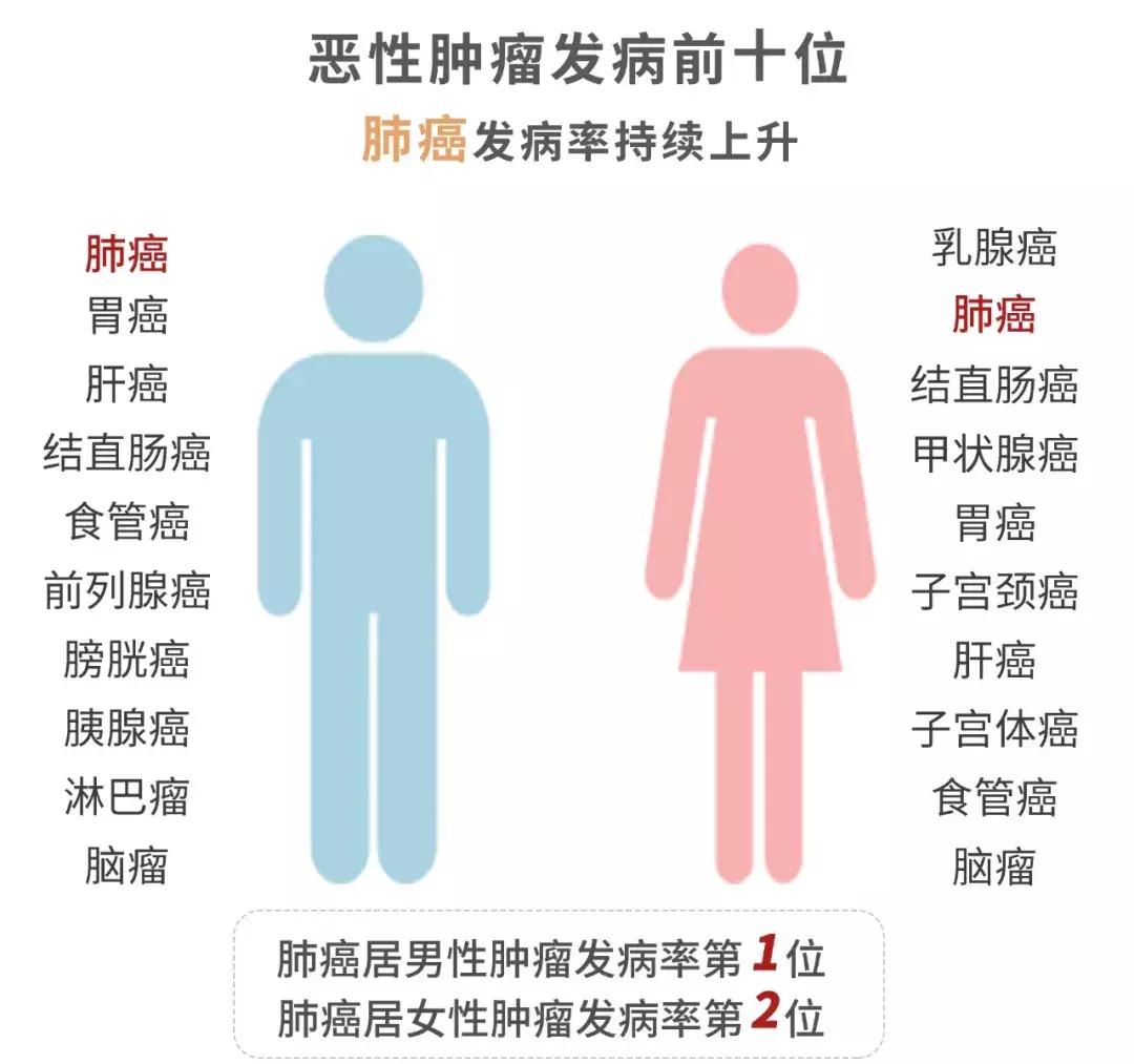烟草税一年收入多少,烟税收每年大概多少亿