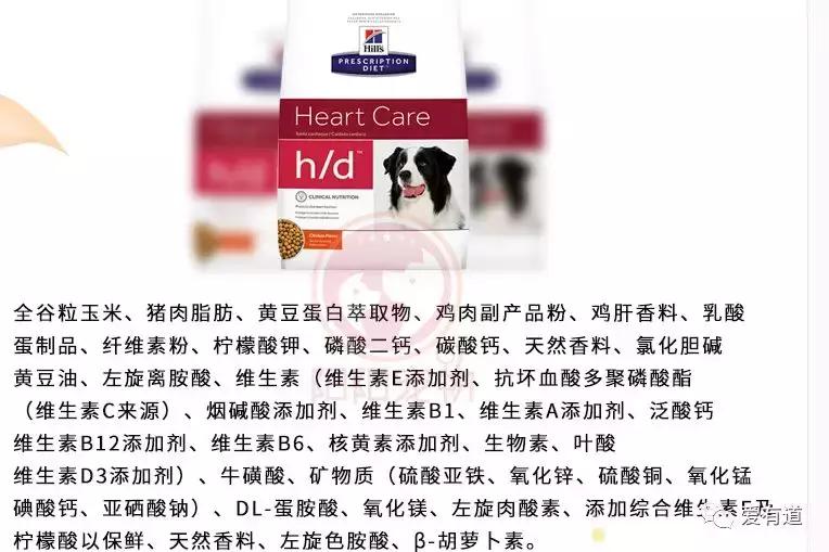 毛孩子偷吃东西被发现,毛孩子吃东西被发现了