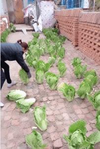 开心搞笑视频小哥哥,小哥哥搞笑视频gif