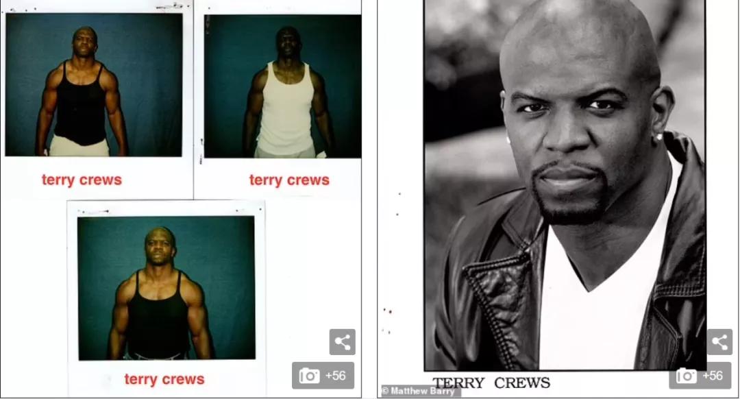 艾米亚当斯变脸,艾米亚当斯年轻