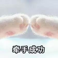 为什么美国不回收纸皮,美国垃圾回收