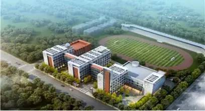 除了外初,江汉区还有哪些好初中?数据说话