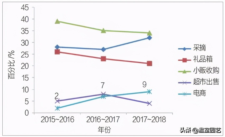 草莓电商是怎么赚钱的,电商发展对城市的影响