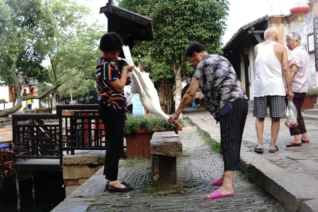 同里古镇值得去么,同里古镇值得去吗