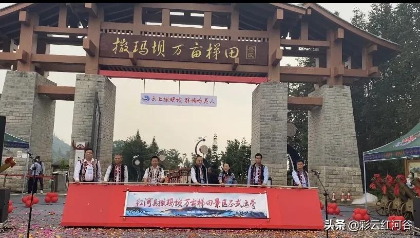 文旅搭台电商唱戏，“开秧门”助推梯田农产品走俏市场