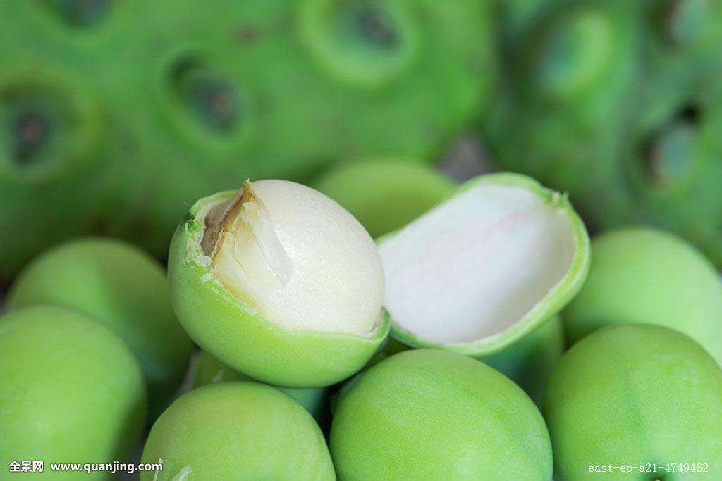 中药材莲子图片大全,中药材莲子和普通莲子区别