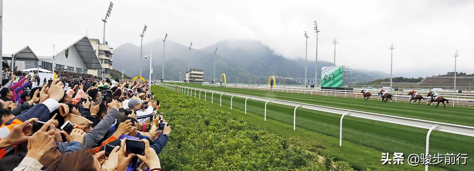 赛马马彩,最新海南赛马产业