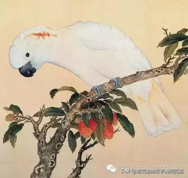 清宫鸟谱,清宫秘传鸟谱大全