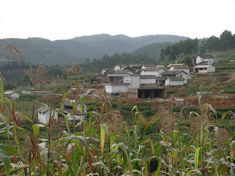 11岁男孩怪异事件,监控拍下灵异娃娃事件