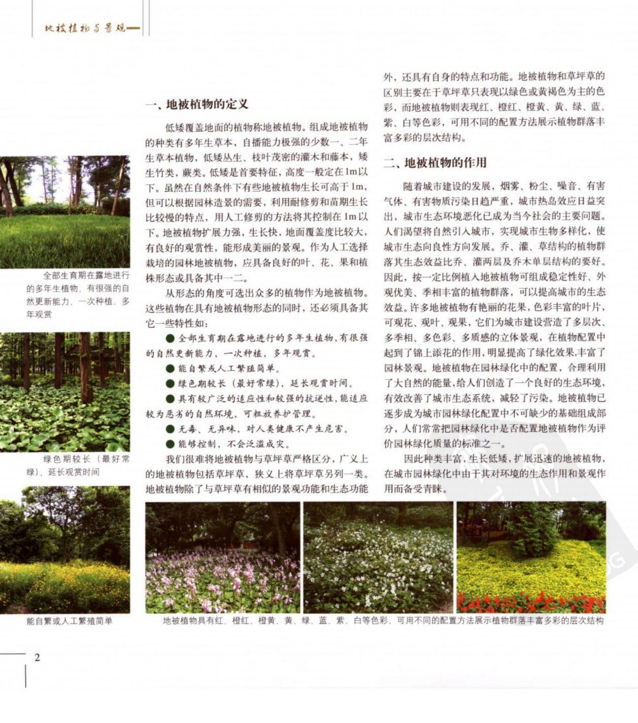 地被植物景观配置,优良地被植物