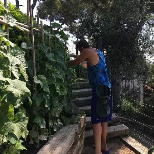 nba球星那些骚操作,nba球员那些骚操作