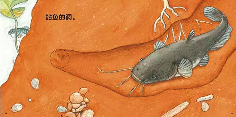 6-7岁经典绘本书单推荐,6-10岁绘本推荐书单