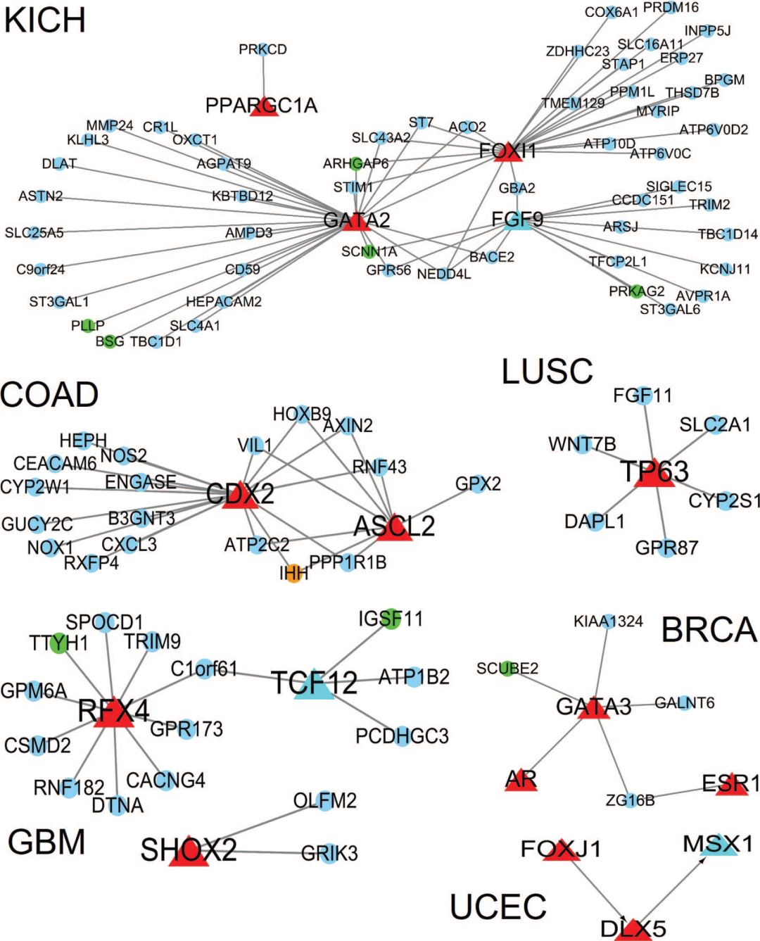 9+纯生信预后标志物筛选