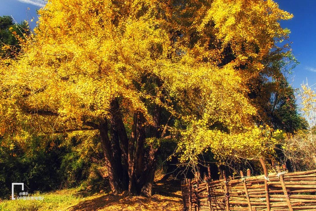 广东一路向南旅游攻略,一路向南探索异国风情