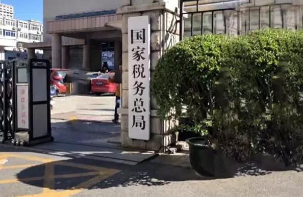 政府补贴和税收优惠政策的影响,财政贴息税费减免政策