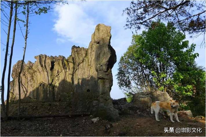 张家界慈利新项目,张家界慈利江垭的新项目