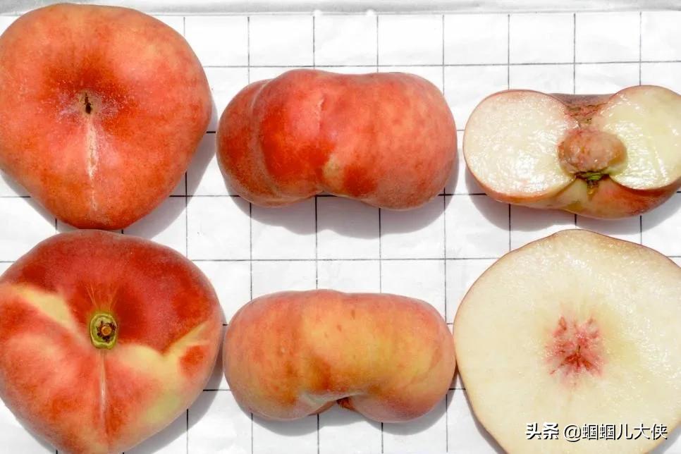 所有的新疆特产,旅游从新疆带的特产