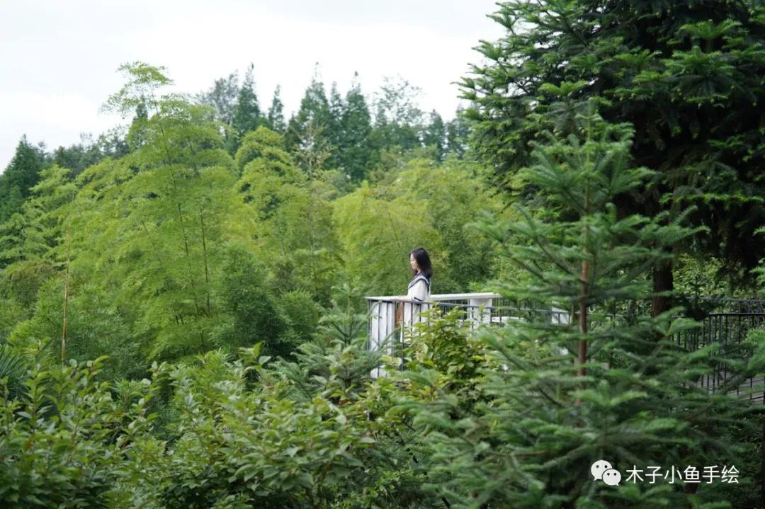 成都四季家园房价多少,四川省成都市的四季