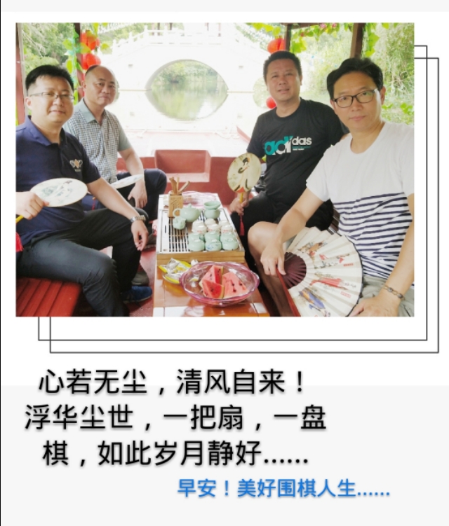 弈城9d,弈城9d是什么水平