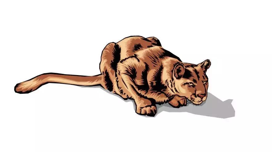 鍜宻rmax300鍚岀骇鐨勮溅,srmax300楠戣鎰熷彈