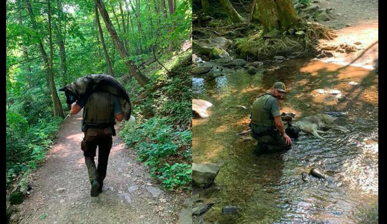 带德牧爬山徒步,德牧爬雪山