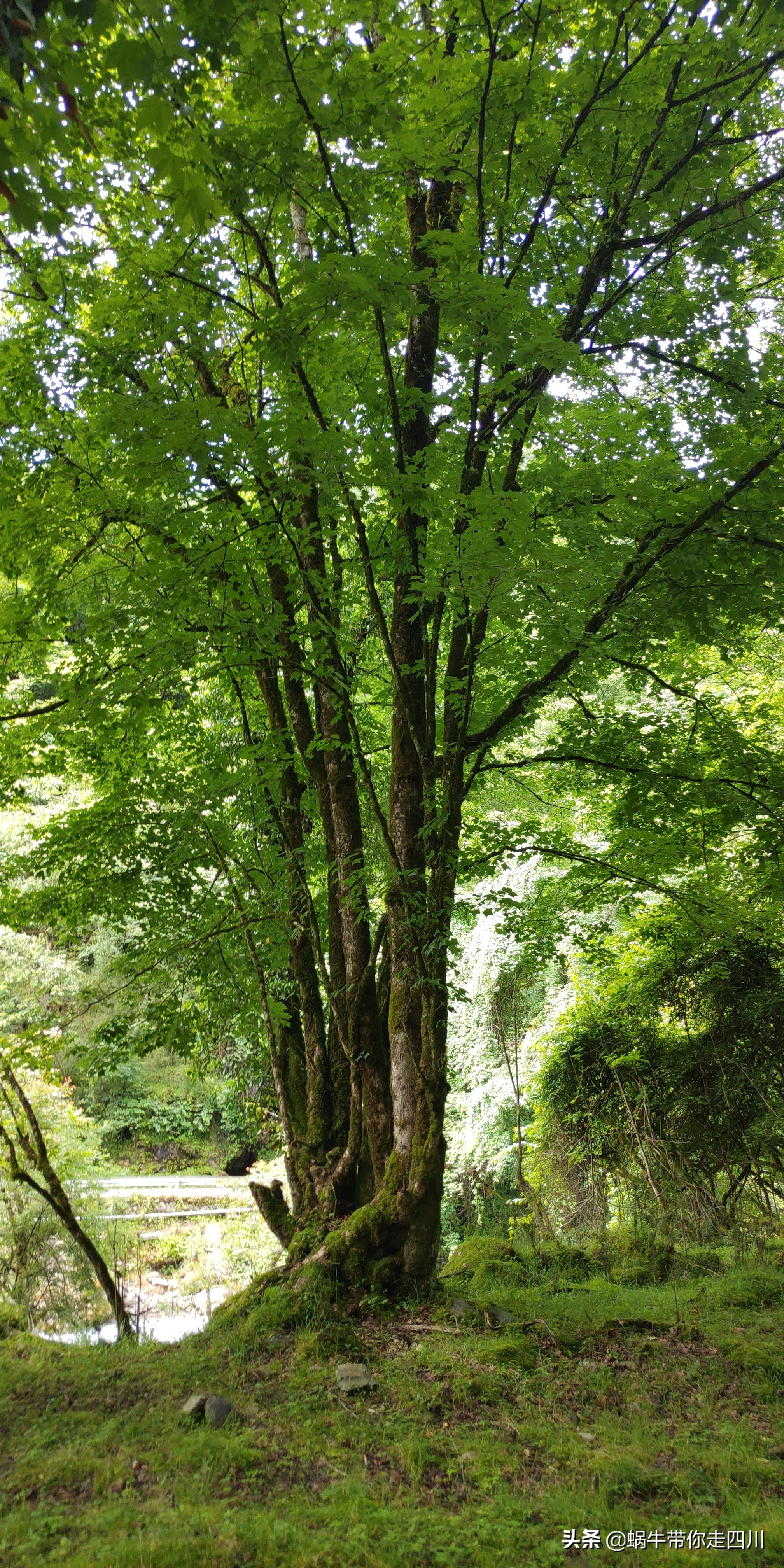 带小朋友出去看小动物,带小孩去海洋动物园