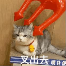 王思聪晒出的聊天记录,王思聪再曝聊天记录表情包