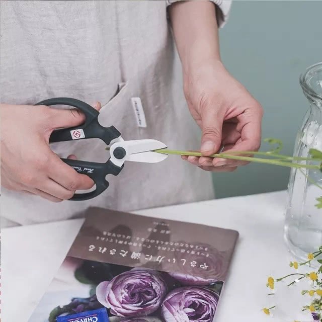 洋甘菊花怎么养护,洋甘菊的醒花及养护