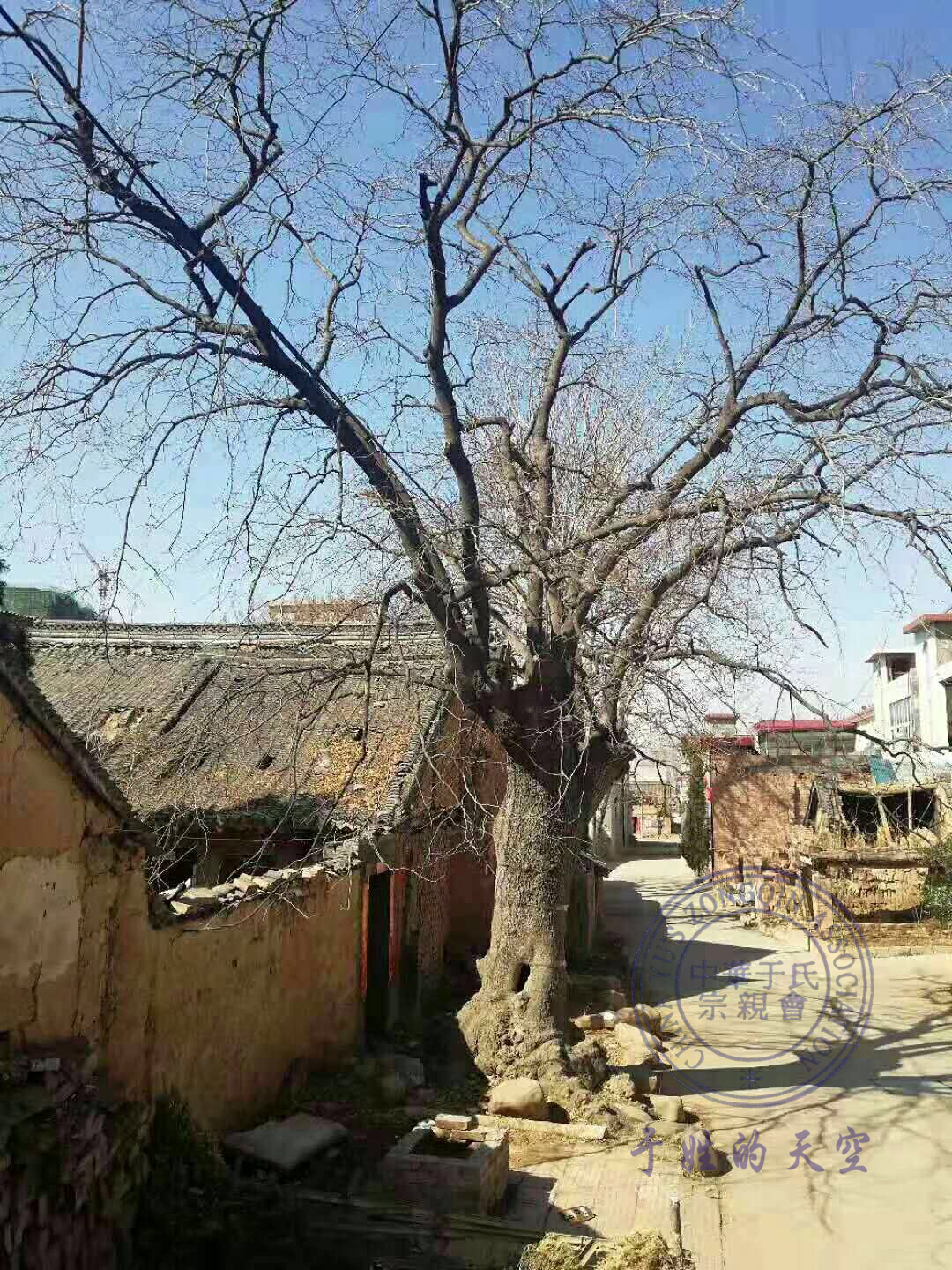 于氏家谱故事,于氏家族的故事