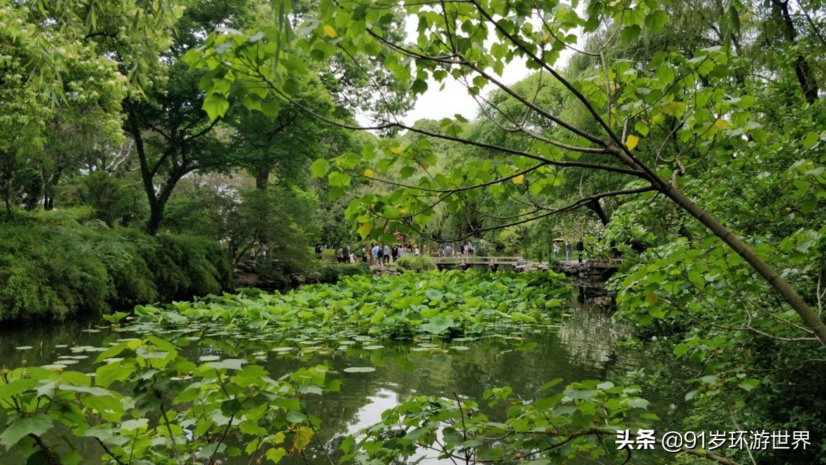 苏州拙政园园林借景,苏州最贵的园林在拙政园旁边