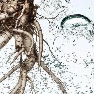 母猫下奶吃什么罐头,母猫下奶最佳配方